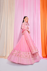 Baby Pink Crepe micropleated embroidered lehanga