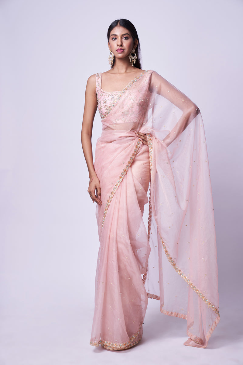 Nude pink embroidered saree & Blouse set