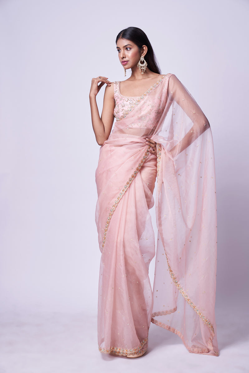 Nude pink embroidered saree & Blouse set