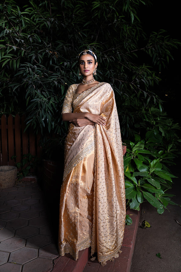 Kanchipuram Tissue Embroidered Saree - Peach