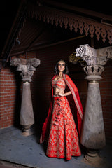 Heavy Embroidered Lehanga - Red