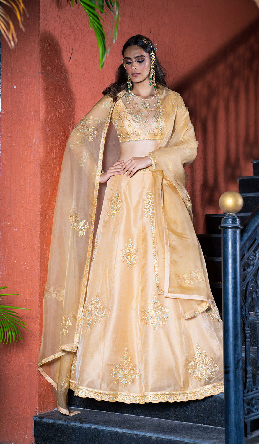 Heavy Embroidered Organza Lehanga - Ivory