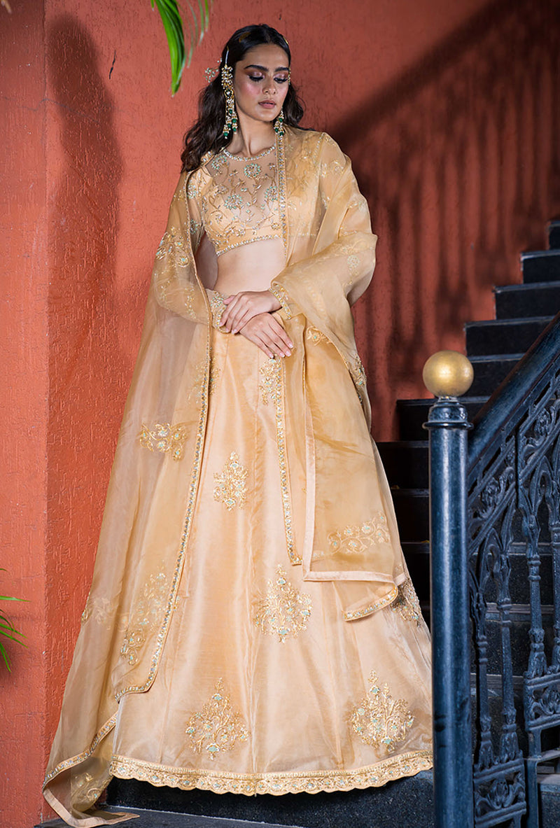 Heavy Embroidered Organza Lehanga - Ivory