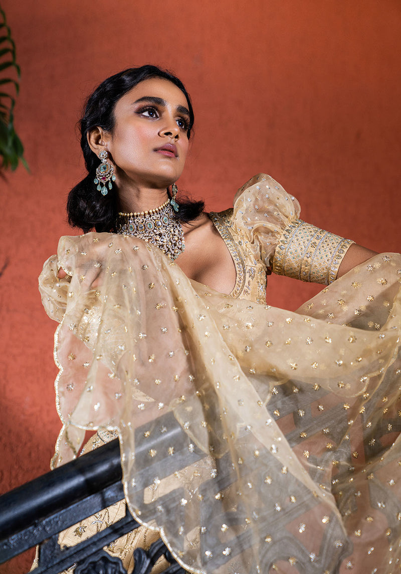 Heavy Embroidered Bridal Lehanga - Ivory