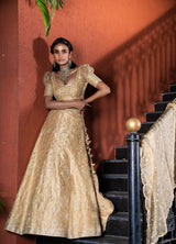 Heavy Embroidered Bridal Lehanga - Ivory