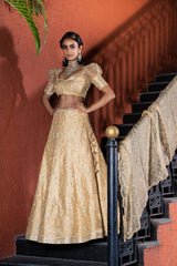 Heavy Embroidered Bridal Lehanga - Ivory