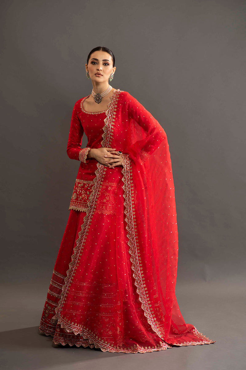 Heavy Embroidered Sherara - Red