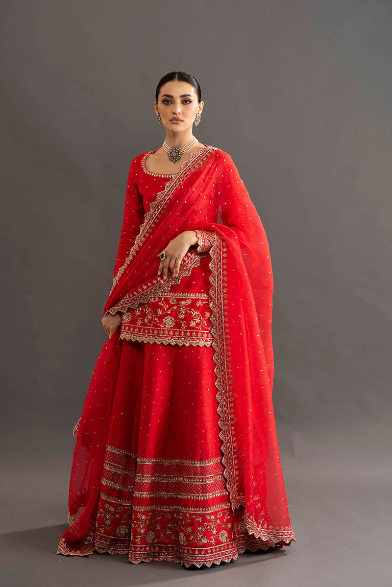 Heavy Embroidered Sherara - Red