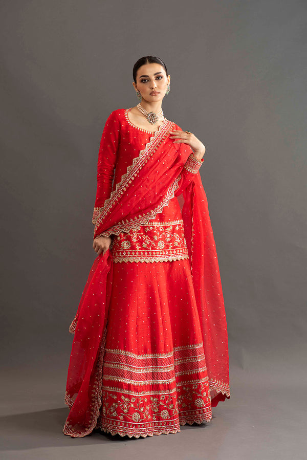 Heavy Embroidered Sherara - Red